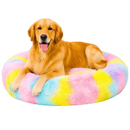 Pet Bed Dog and Cat Gaddi Soft and Cozy Pet Pillow for All Seasons Perfect for Indoor and Outdoor Use Suitable for Puppy Rabbit Persian Cat Durable and Washable Bed (Multi, XXL)