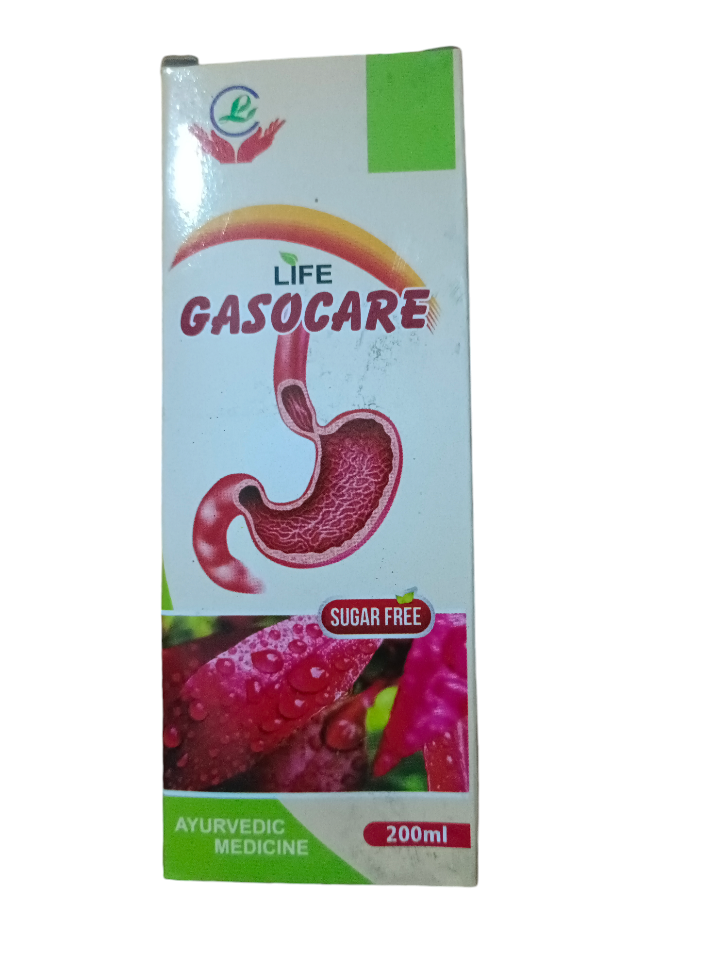 Life Gasocare Ayurvedic Medicine Sugar Free 200ml pack of 2